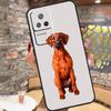 Rhodesian Ridgeback Dog Case For POCO F5 X3 X5 Pro M5s C40 F3 F4 X4 GT Xiaomi 13 Ultra 11T 12T Pro 11 12 Lite Cover