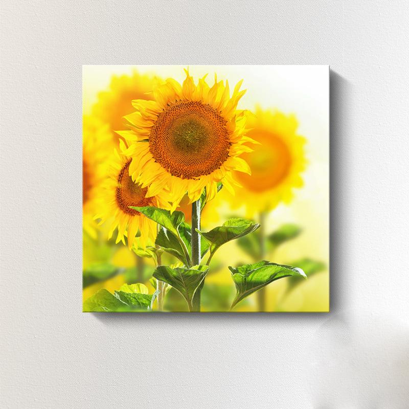 Moderne Sonnenblumen-Leinwandmalerei, nordische Landschaft, HD-Bilder, Blumenplakate und -drucke, Wandkunst, Bilder, Wanddekoration, kein Rahmen