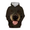 Men's Animal Dog Animal Patterned Graphic Prints Hoodie Hoodies Sweatshirt Cute Streetwear Designer