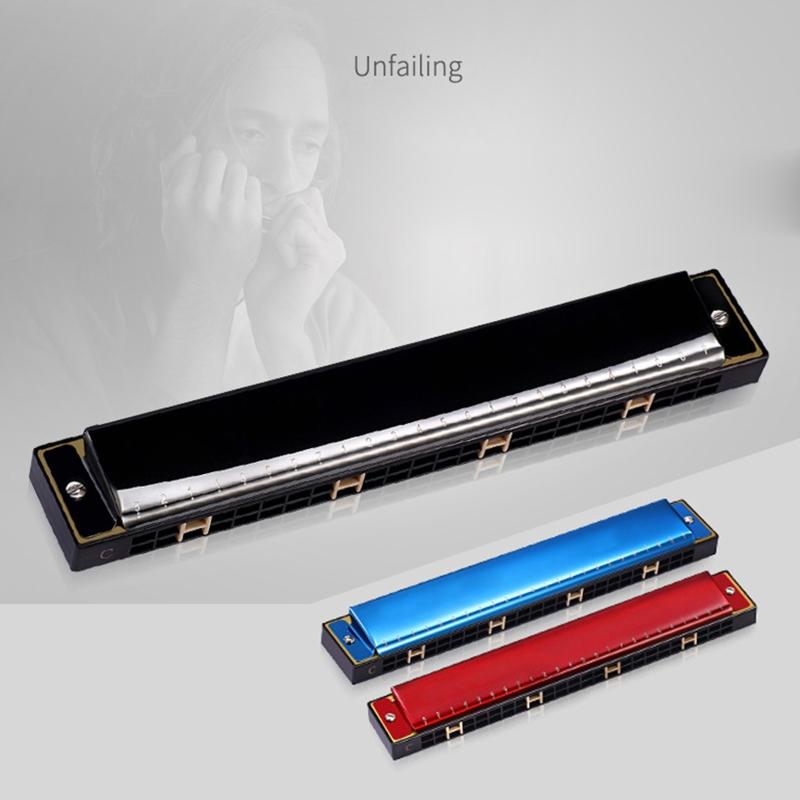 24-Hole Professional Harmonica for Beginners, Diatonic Double Tremolo Harmonica for Adults Music Student Teacher Gift