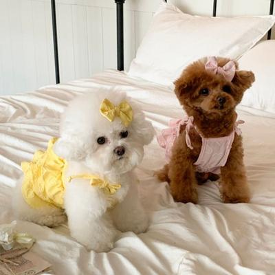 Ropa y calzado – Vestidos para perros
