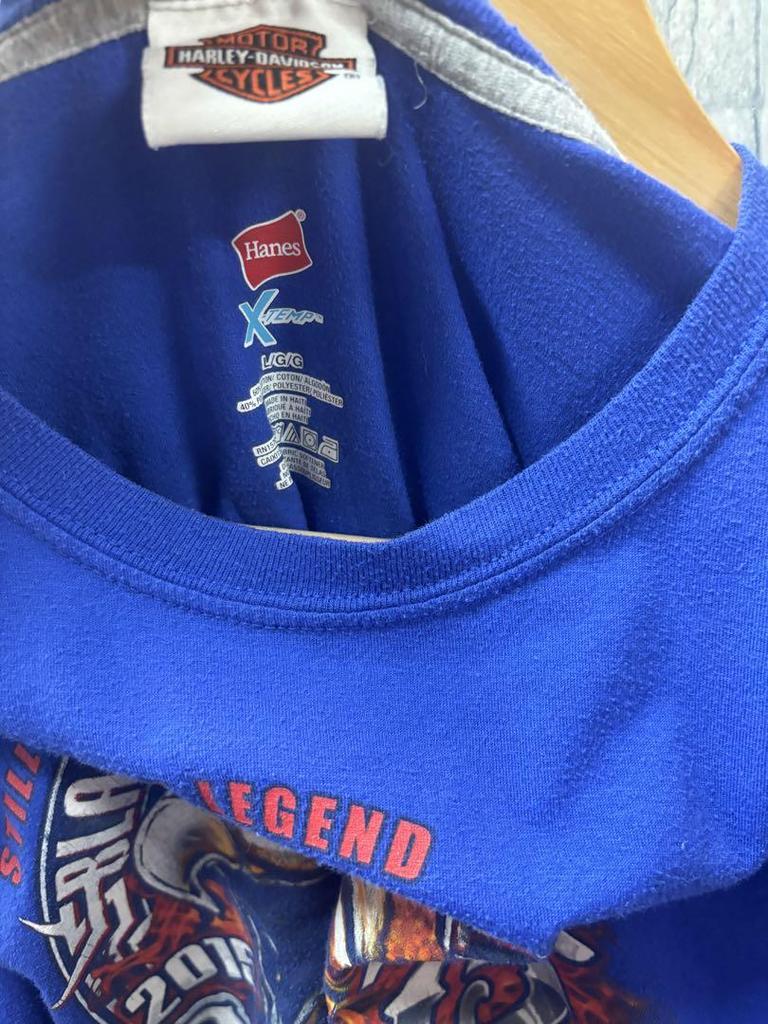 [USED] Vintage Harley-Davidson Eagle T-shirt, blue.