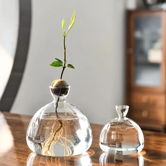 Hydroponic Plants Glass Vase Transparent Propagation Terrarium