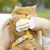 Little Bee Anti-Escape Cat Leash & Harness - Adjustable Outdoor Walking Rope