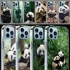 Panda Baby, Giant Panda Family Cases Phone Case For Iphone 17E 16E 17 Air 16 Pro Max 15 Pro 14 Plus 11 13 12 Mini Cover Cases Co