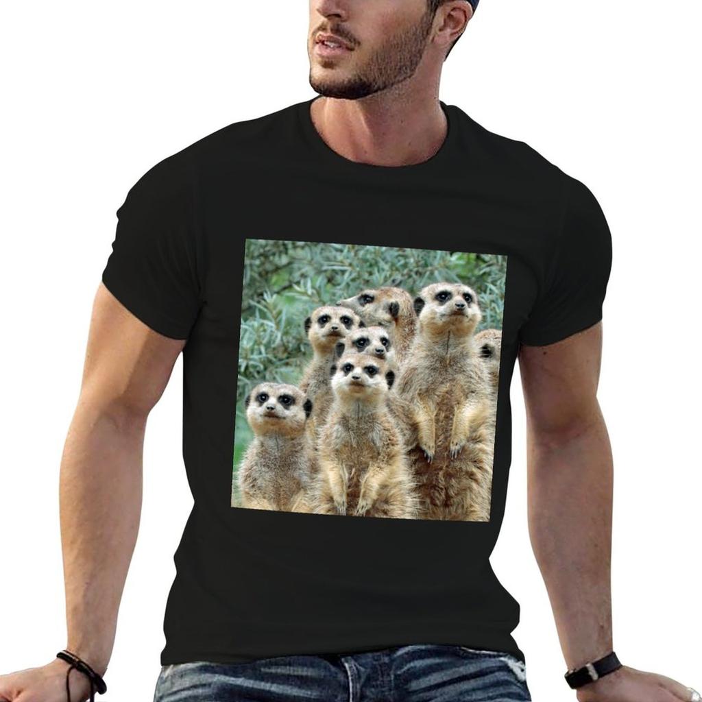 Meerkat 012 TShirt Plus Size NonShrink TShirt