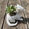Funny 3D Printed Succulent Planter Home Decoration Jewelry Holder Flowerpot Molds Fantasy Dragon Ornament Birthday Gift