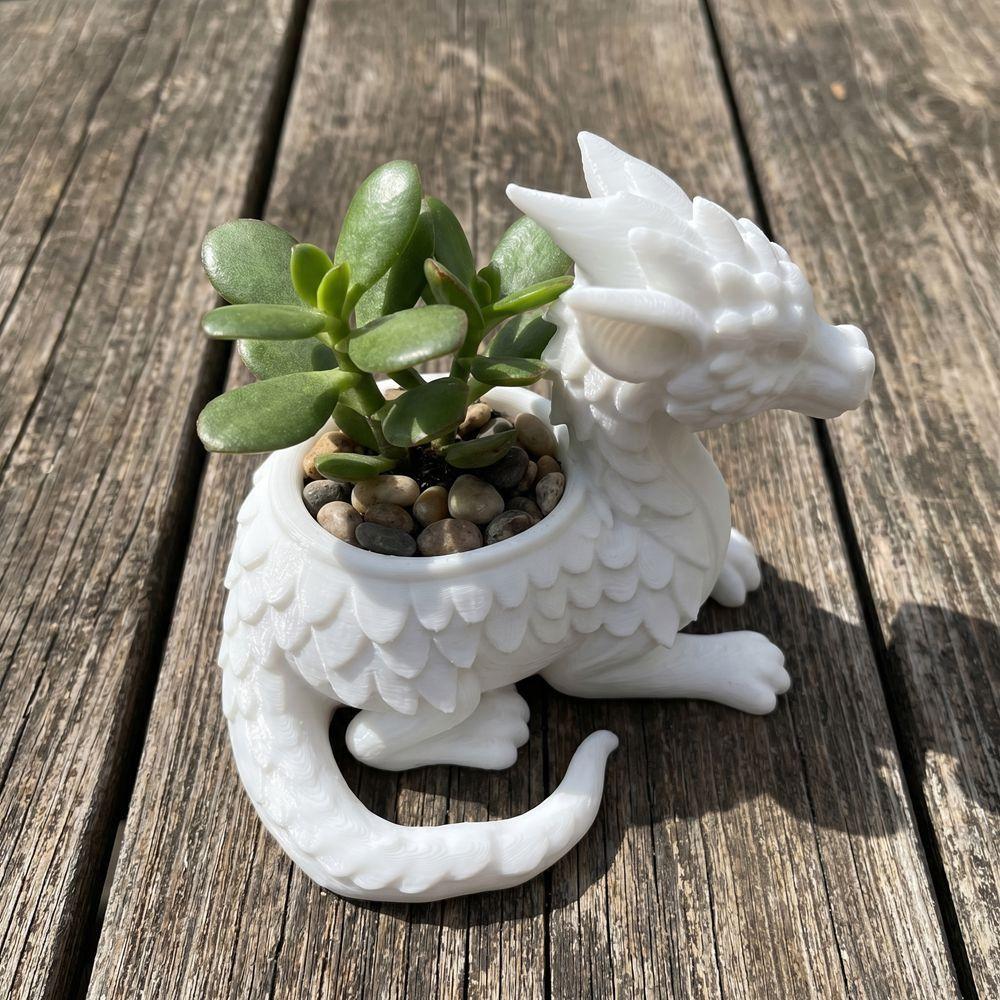 Funny 3D Printed Succulent Planter Home Decoration Jewelry Holder Flowerpot Molds Fantasy Dragon Ornament Birthday Gift