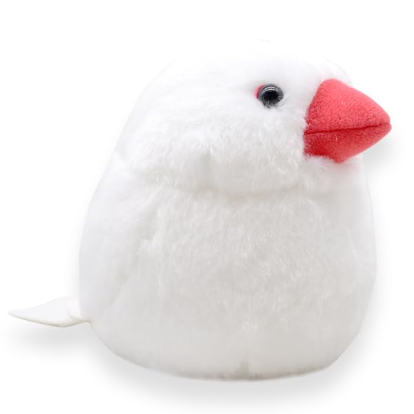 

White Buncho Plush Toy Gift Birthday Exceed Japan (Single Item) [kotori smile]