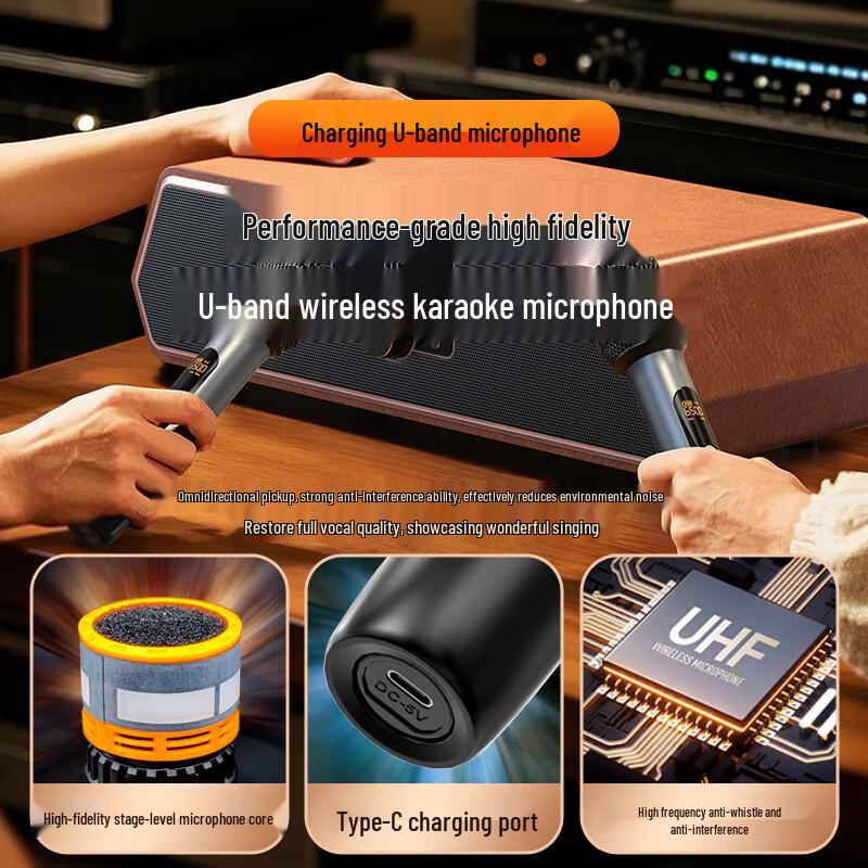 SANSUI Desktop Home KTV Karaoke Audio System