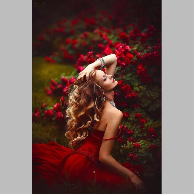 

DIY 5D алмазная живопись Яркие розы Алмазная мозаика наборы крестиков украшение дома полная круглая алмазная вышивка Square 40x50cm