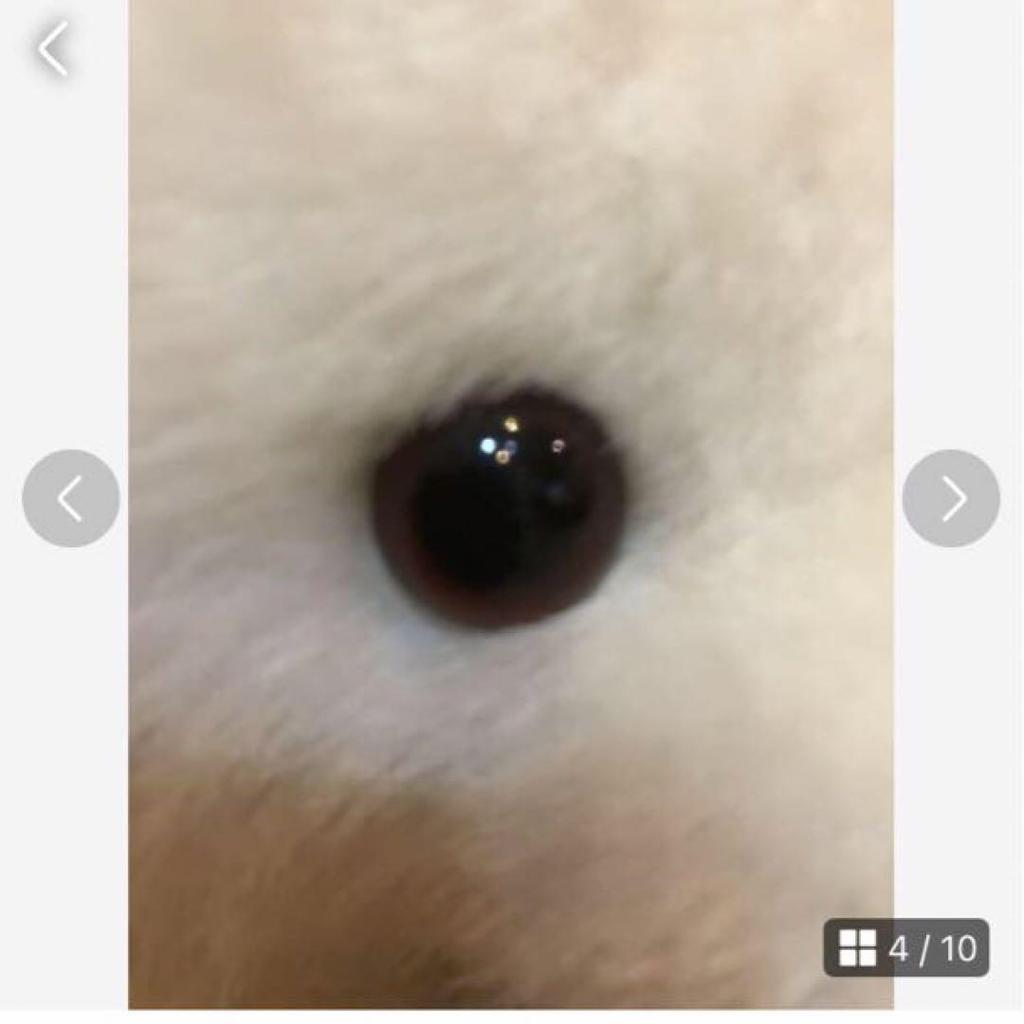 [USED] Showa Retro Rare! Bandai Petit Amour Made In Japan Teddy Bear