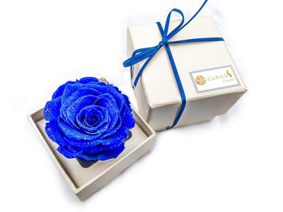 Fleurs de Rose Préservées CURAS avec Diamant Naturel et Paillettes (Boîte Bleue, Blanche)
