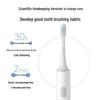 Xiaomi T300 Electric Toothbrush