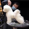 Parrucca Modello Toelettatura Cani Animale Domestico Cane Teddy Toelettatura Rifilatura Bellezza Pratica Simulazione Capelli (Solo Corpo Parrucca, Senza Scheletro di Cane)