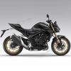 For Hornet Cb1000 SP 2025 Tank Pad 3D Resin Sticker Protection Kit Accessories