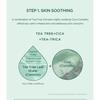 SKIN 1004 - Madagascar Centella Tea-Trica Relaxing Mask Set
