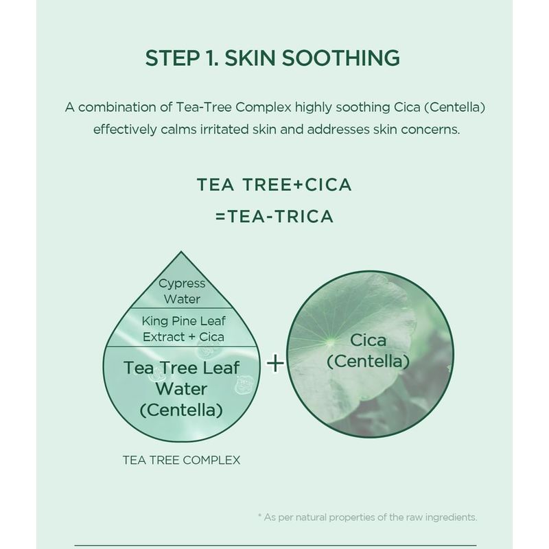 SKIN 1004 - Madagascar Centella Tea-Trica Relaxing Mask Set