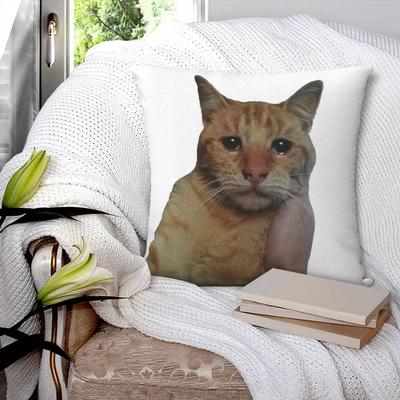 Weinende Katze wird gehalten Meme Quadratische Kissenbezüge Kissenbezüge mit Reißverschluss Dekor Kissenbezug für Sofa "