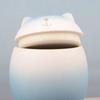 Gradient Color Funeral Urn for Pets Household Sealed Dog Cat Cremation Urns  for Kitchen