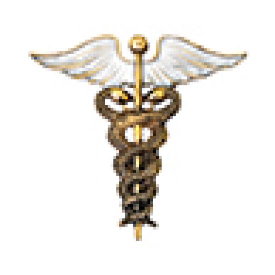 

Ретро змеиные крылья сплава женская брошь на булавке свитер пальто одежда сумка орнамент