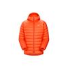 Arcteryx Cerium Down Jacket Men's 29675-