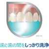 Dental Labo Medicated Toothpaste for Periodontal Disease (Gingivitis and Pyorrhea), 100g x 2-Pack