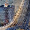 Nautisches Fischernetz Küstenwand Strandparty Muscheln Heim Gartendeko