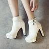 2025 Autumn and Winter New Short Boots High Heel Waterproof Platform with Metal Buckle Style Simple Fashion Boots