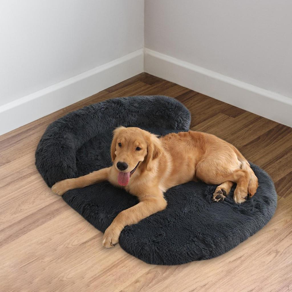 Bed for Kittens And Puppies, Comfortable Sofa Mattress