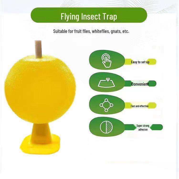 Vertical Sticky Fruit Fly Trap Ball for Kitchens and Fruit Shops