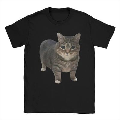 Women OIIA Spinning Cat Meme T Shirt Funny Brainrot Tops Fashion Short Sleeve Round Neck Tees Female Summer Tee Shirts