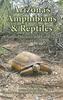 Книга Arizona's Amphibians & Reptiles : A Natural History and Field Guide
