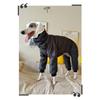 Waterproof Dog Clothes Winter Large Dogs Clothing Accessories Dogs Overalls with Hat Adjustable Warm Dog Coat Product Supplies