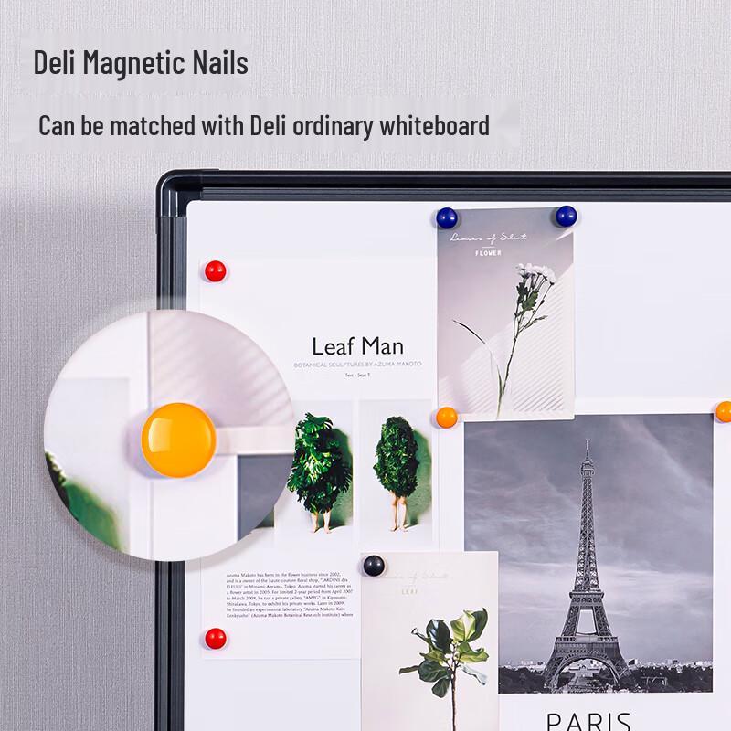 Deli Magnetic Push Pins
