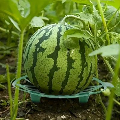 20pcs Plastic Watermelon Stands, Stable Windproof Design, Suitable for Various Fruits, Home Garden Planting, Tray Holder for Household Watermelons
