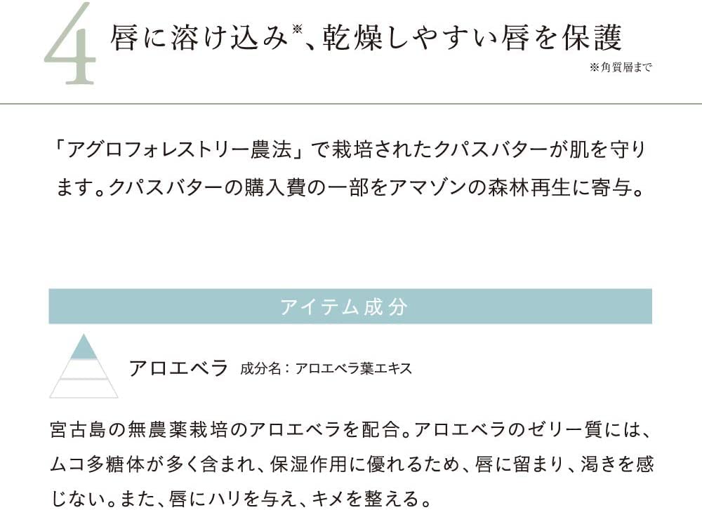 Naturaglace Moist Balm Rouge 06 Plum Red 2g