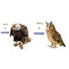 Lifelike Acrylic Owl Decoy for Bird Control Convenient Installation Realistic Design Attractive Decoration for Outdoor Spaces