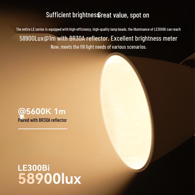 Godox LE300Bi Bi-Color LED Video Light