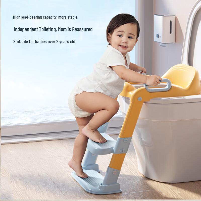 babyhood Kids' Potty Training Seat with Step Ladder