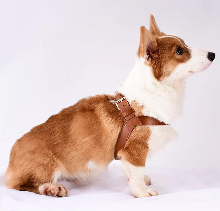 Most Popular in 2025 Stocked Waterproof Leather Dog Chest Harness Pet Leash Set for Small and Medium-Sized Dogs Dog Harness