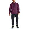 Under Armour Pullover Herren Lila Mit Kapuze Moderat Normal 1357100-194