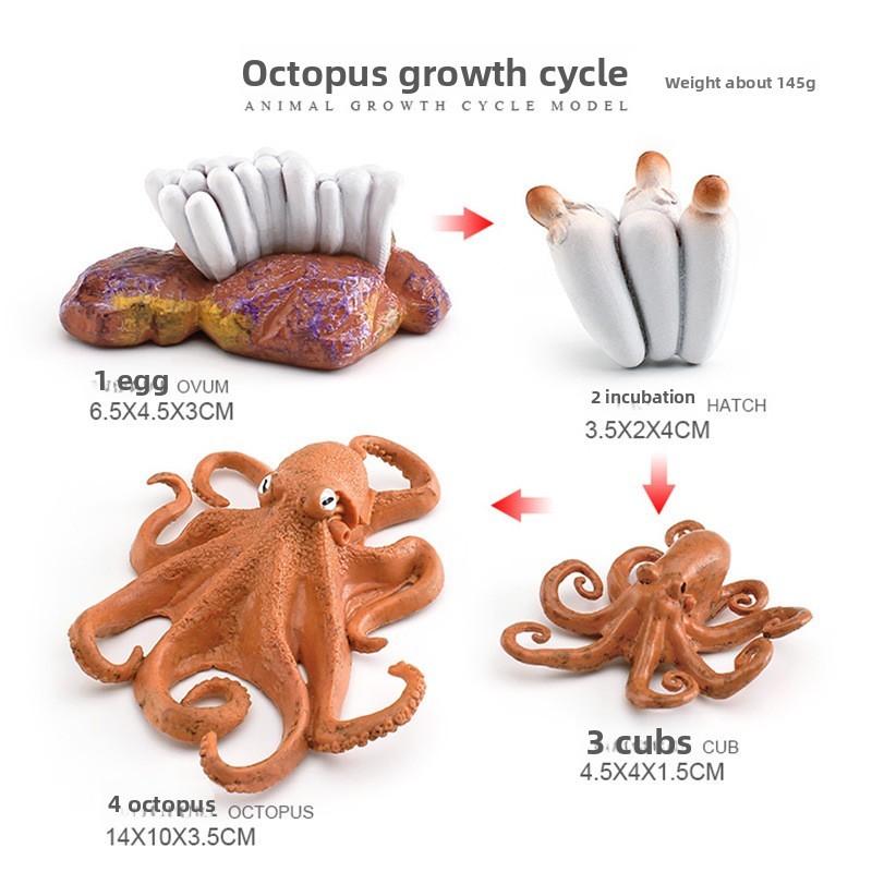Marine Animal Lifecycle Model Pvc Octopus For Kids Science Education фиолетовый