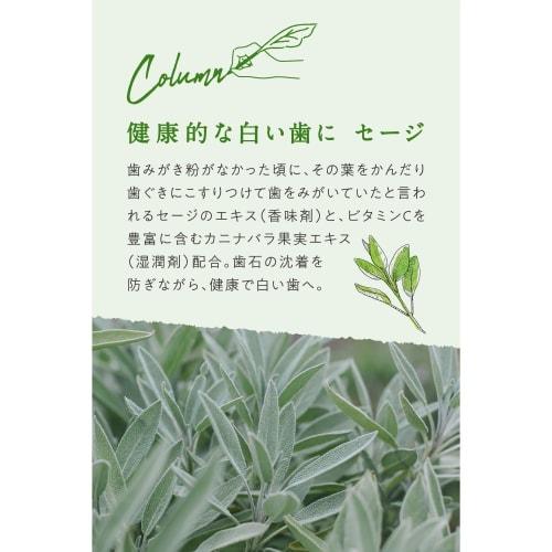 [Official] ARGITAL Green Clay Toothpaste (Sage) 75ml