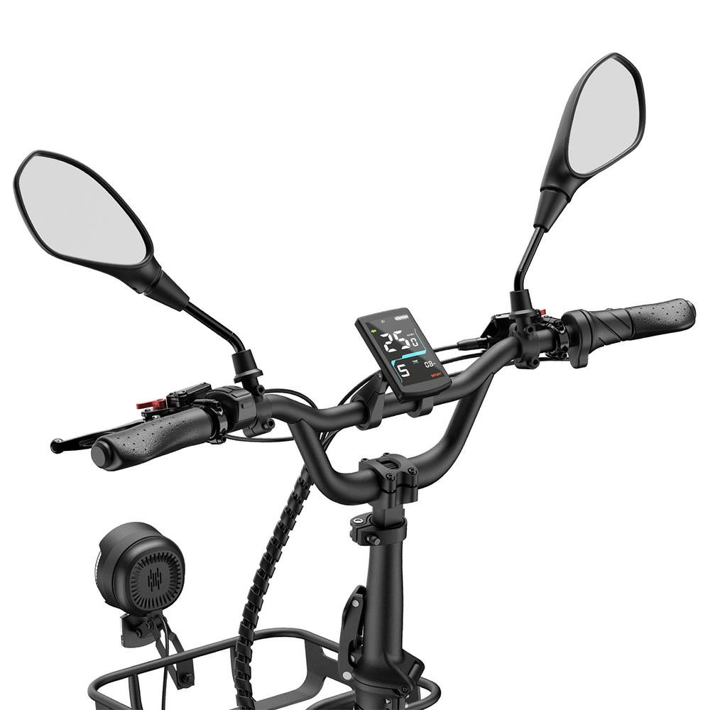 Bicicleta Eléctrica Fafrees F20 Mate Motor de 250W Frenos de Disco Doble Neumático de Aire 20"x2.5" Plegable E-Bike de Carga Pantalla LCD 48V 21Ah Carga Máxima 180Kg
