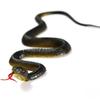 Șarpe de jucărie din cauciuc realist fals de 45 cm Simulare Anaconda Înfricoșător Halloween Pentru a speria păsările Accesorii Jucărie Șotie Glumă