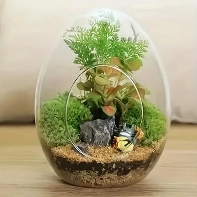 1ks Hydroponické masité mikrokrajinné skleněné terárium Kreativní skleněné láhve ve tvaru vejce Šťavnaté skleněné vázy Mech Domácí dekorace