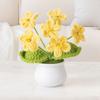 New Handmade Mini Crochet Flowers Photo Props Simulation Knitted Potted Flower Gift DIY Artificial Flower Bonsai Teachers' Day