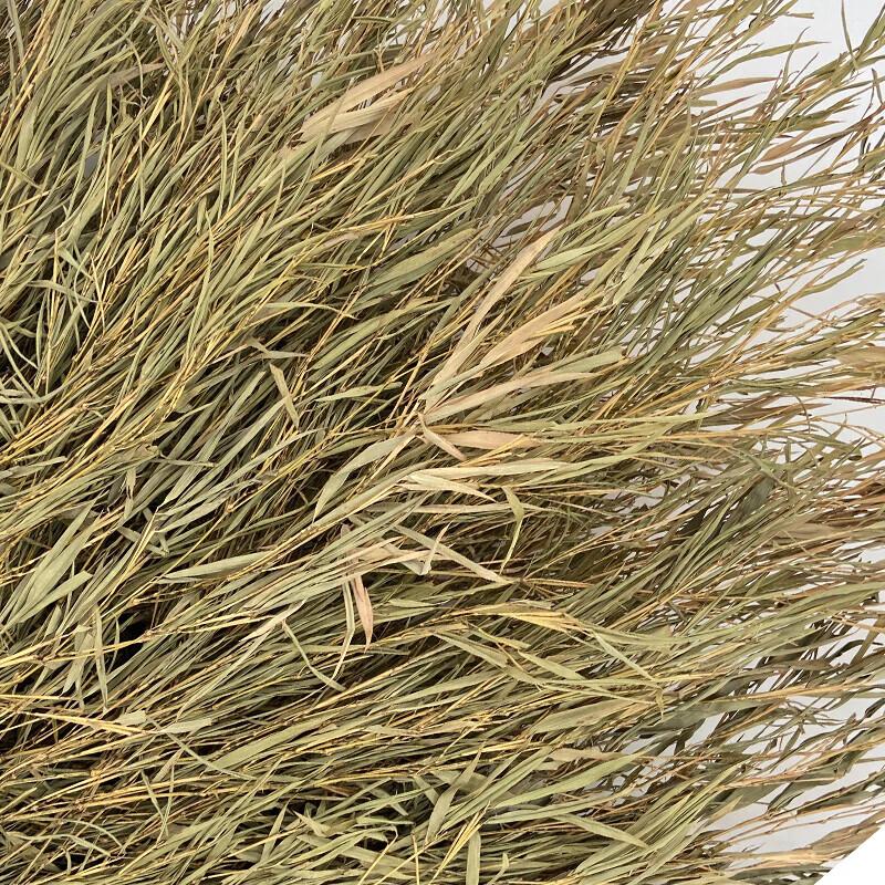 Mu Ji Heavy-Duty Outdoor Bamboo Broom