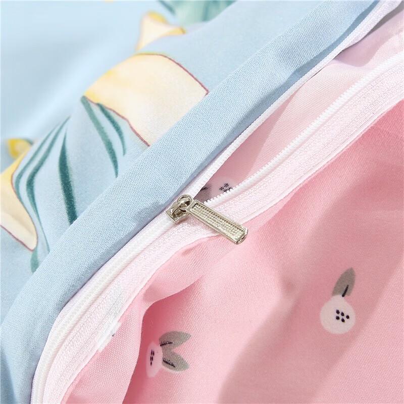 Youmengjiaju Printed Brushed Microfiber 4-Piece Bedding Set